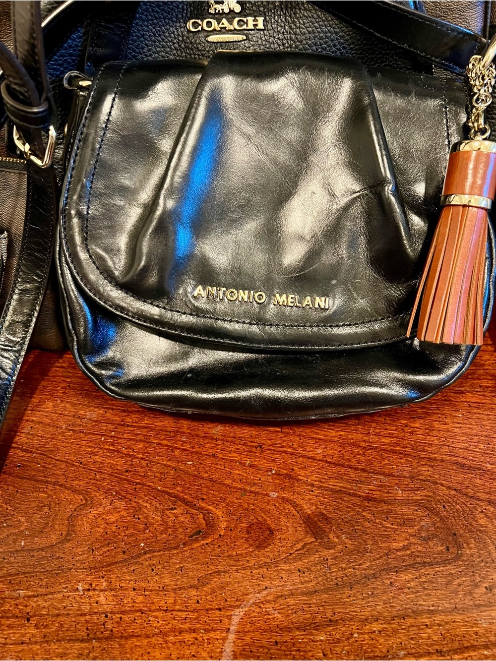ANTONIO MELANI Black Leather Crossbody with Tassel Accent
